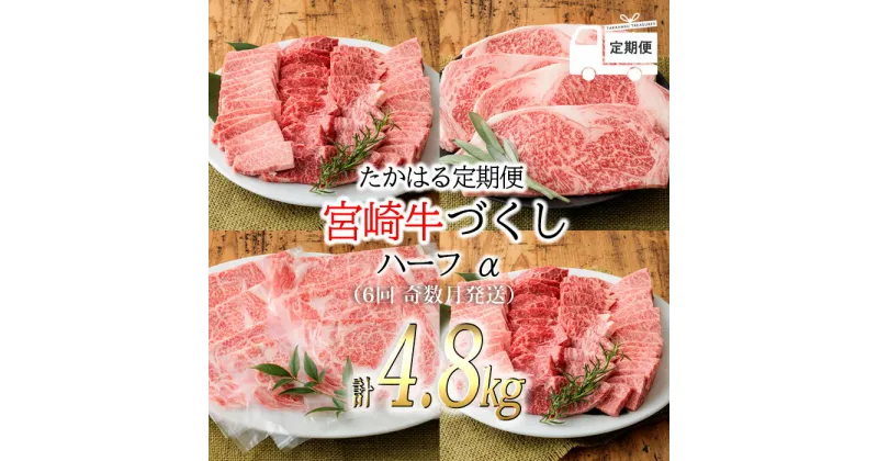 【ふるさと納税】日本一美味しい「宮崎牛」の隔月定期便 :たかはる定期便ハーフα (6回 奇数月発送) 内閣総理大臣賞4連続受賞 牛肉 ギフト 贈答 送料無料 ブランド牛 黒毛和牛 宮崎県 和牛オリンピック オレイン酸 A5等級 A4ランク お肉 故郷 納税 返礼品 150000円 15万円