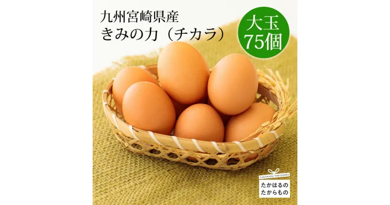 【ふるさと納税】九州宮崎産 赤たまご『きみの力（チカラ）』Lサイズ 赤卵75個 赤玉子 大容量 卵セット 空気と水のきれいな霧島連山の麓の町でミネラルたっぷりの上質な完全配合飼料ですくすく育った鶏が産む卵は甘くておいしい逸品 送料無料 故郷納税