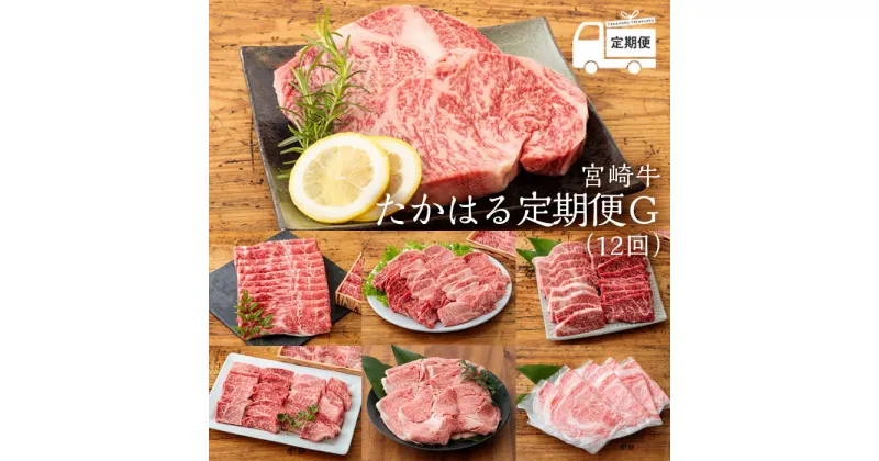 【ふるさと納税】日本一美味しいブランド牛「宮崎牛」の年間定期便 「宮崎牛たかはる定期便G(12回)」 柔らか とろける味わい 内閣総理大臣賞4大会連続受賞 牛肉 ギフト 贈答 送料無料 国産 黒毛和牛 宮崎県高原町 和牛オリンピック お肉 牛肉 故郷納税 500000円 50万円