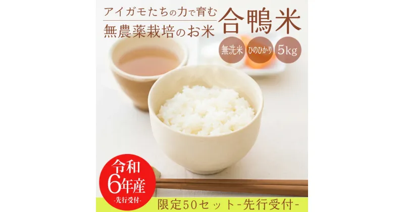 【ふるさと納税】 《新米》無農薬栽培 合鴨米ひのひかり 無洗米 5kg 送料無料 ミネラルを高濃度で含有の霧島山麓から湧き出る名水育ち 合鴨農法 故郷納税 残留農薬ゼロ 安全・安心 国産 宮崎県産 高原町産 産地直送 ごはん 白米 2024年産 令和6年産 故郷納税 15000円