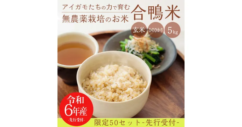 【ふるさと納税】 無農薬栽培《新米》令和6年産 合鴨米ひのひかり 玄米 5kg 送料無料 深い味わい世界でも珍しい希少ミネラルを高濃度で含有の霧島山麓から湧き出る名水育ち 合鴨農法 残留農薬ゼロ 安全・安心 宮崎県産 高原町産 産地直送 節水 2024年産 15000円 故郷納税