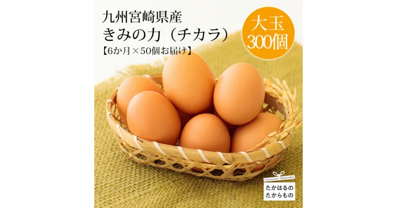 【ふるさと納税】九州宮崎県 赤たまごの定期便年6回 『きみの力（チカラ）』Lサイズ 赤卵50個×6か月 大玉の赤玉子 大容量 卵セット 空気と水のきれいな霧島連山の麓の町でミネラルたっぷりの上質な飼料ですくすく育った鶏の卵はおいしい逸品 送料無料