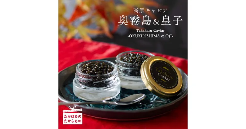 【ふるさと納税】Takaharu Caviar（たかはるキャビア）『奥霧島・熟成20g』と『皇子・フレッシュ20g』2種味比べセット いこいの家 キャビア 冷凍 高級 自社加工 宮崎県産 高原町 霧島連山 チョウザメ バエリ 送料無料 霧島山系の良質な湧水育ち 故郷納税 43000円 5万円以下