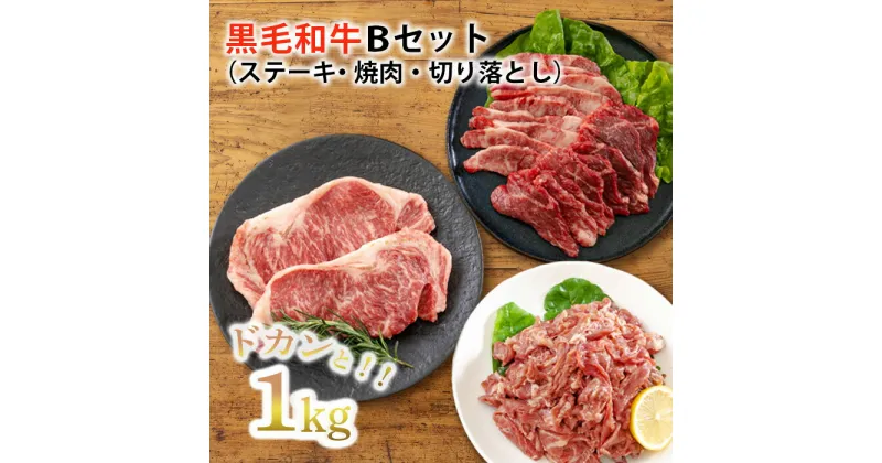 【ふるさと納税】宮崎県産 『黒毛和牛ステーキ・焼肉・切り落としBセット(1kg)』 15000円 1万円台 故郷納税 赤身肉 お肉 牛肉 国産ブランド牛 贈答 ギフト 3種 冷凍 贈り物 プレゼント 送料無料 オンラインワンストップ対応