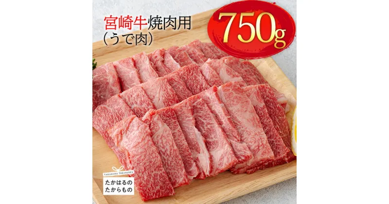 【ふるさと納税】日本一美味しい「宮崎牛」の焼肉(うで肉) 約750g 霧島山の麓で育んだ和牛 ブランド牛 柔らかな食感 内閣総理大臣賞4回連続受賞 オレイン酸 塩とワサビでシンプルに美味しい A5 A4ランク 黒毛和牛 お肉 牛肉 国産 送料無料 宮崎県 高原町 故郷納税 15000円