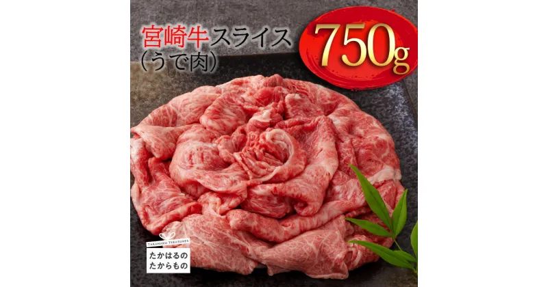 【ふるさと納税】日本一美味しい「宮崎牛」のスライス(うで肉) 約750g 霧島山の麓で育んだ和牛 柔らかな食感 内閣総理大臣賞4回連続受賞 A5 A4ランク 黒毛和牛 送料無料 牛肉 ブランド牛 宮崎県高原町 故郷納税 15000円 オンラインワンストップ対応