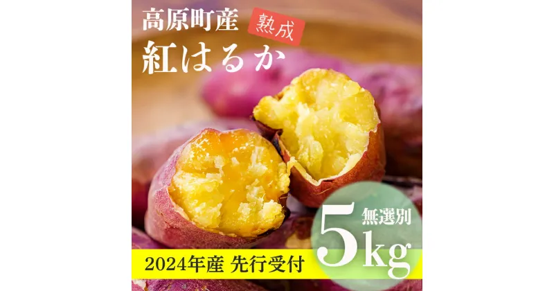 【ふるさと納税】《先行受付》南九州の名産品「熟成紅はるか」5kg(無選別)高原町産のさつまいも 新物 長期熟成 糖度 甘味 旨味 ホクホク 焼き芋 ふかし芋 天ぷら 煮物 オンラインワンストップ 故郷納税 10000円 1万円 訳アリ 薩摩芋 べにはるか からいも 宮崎県産