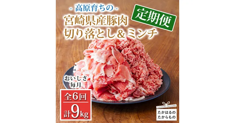 【ふるさと納税】定期便6回 豚肉詰め合わせ《大容量！寄付金45,000円で合計9kg》国産 豚肉 豚肉切り落とし&ミンチ 9000g お弁当 豚肉2種詰め合わせセット しゃぶしゃぶ ハンバーグ 宮崎県 高原町 日本産 6ヶ月 送料無料 故郷納税 45000円 4万円台 四万円台