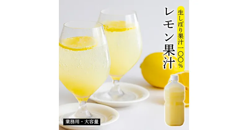 【ふるさと納税】 レモンの果汁《大容量・業務用1L》 保存料不使用 ビタミンCが豊富の檸檬果汁！ レモンサワー用に便利 ビタミン剤・サプリの代わりに！ 香酸柑橘 隠し味 果物の果汁 濃縮還元なし カクテル用に 10000円 故郷納税 オンラインワンストップ 送料無料 ムラタ拉麺