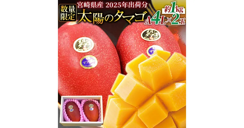 【ふるさと納税】予約受付！数量限定！＜宮崎県産 太陽のタマゴ A等級 4Lサイズ×2玉（合計約1kg）＞※入金確認後、2025年4月下旬～2025年6月末迄に順次出荷 果物 フルーツ 完熟 マンゴー ギフト 贈答用 季節限定 先行予約 JAみやざき 宮崎県 国富町 0259_ja【冷蔵】