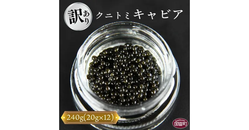 【ふるさと納税】【訳あり】＜クニトミキャビア 240gセット(20g×12)＞※入金確認後、翌月末迄に順次出荷します。訳アリ 簡易包装 チョウザメ 低塩分 国産 おつまみ 珍味 ラポール・ド・クニトミ 宮崎キャビア株式会社 宮崎県 国富町 0199_mc【冷凍】