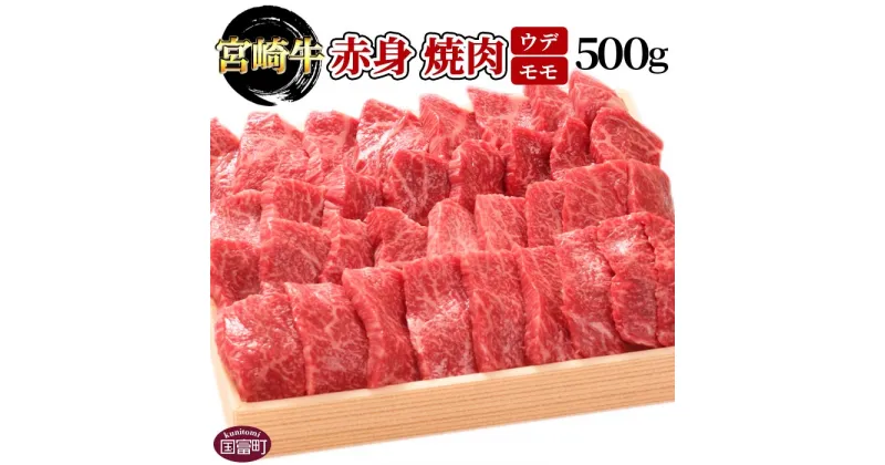 【ふるさと納税】＜宮崎牛赤身（ウデ・モモ）焼肉 500g＞※入金確認後、翌月末迄に順次出荷します 牛肉 和牛 黒毛和牛 バーベキュー キャンプ BBQ うで 株式会社エムツー 国富店 宮崎県 国富町【冷凍】