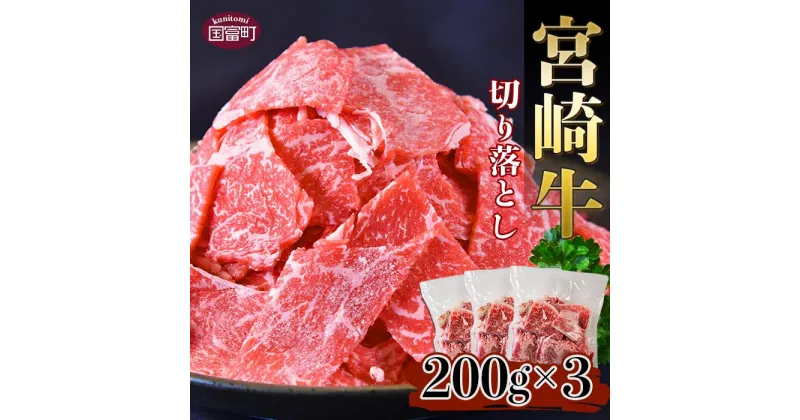 【ふるさと納税】＜宮崎牛 切り落とし 合計600g（200g×3）＞※入金確認後、翌月末迄に順次出荷します。牛肉 和牛 黒毛和牛 国産 普段使い 小分け 食材 家庭料理 こま スライス グルメ カレー 肉じゃが 牛丼 煮物 特産品 送料無料 宮崎県 国富町 0330_ty【冷凍】