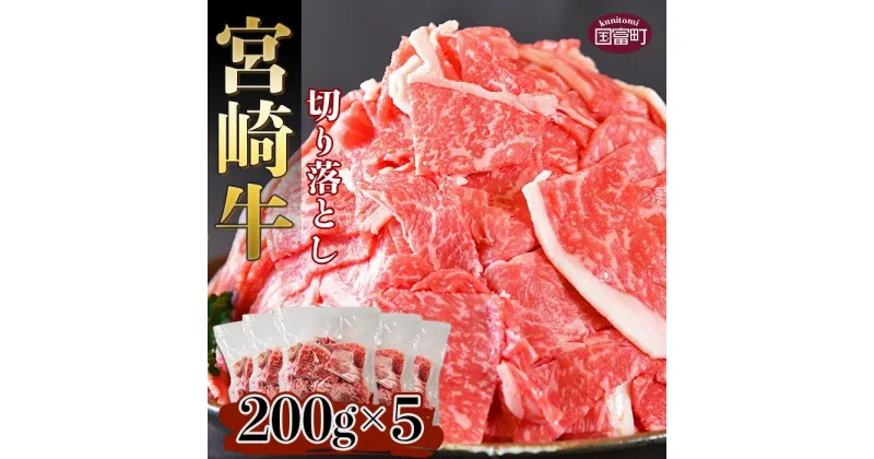 【ふるさと納税】＜宮崎牛 切り落とし 合計1kg（200g×5）＞※入金確認後、翌月末迄に順次出荷します。牛肉 和牛 黒毛和牛 普段使い 国産 小分け 食材 家庭料理 こま スライス グルメ カレー 肉じゃが 牛丼 煮物 特産品 送料無料 宮崎県 国富町 0331_ty【冷凍】