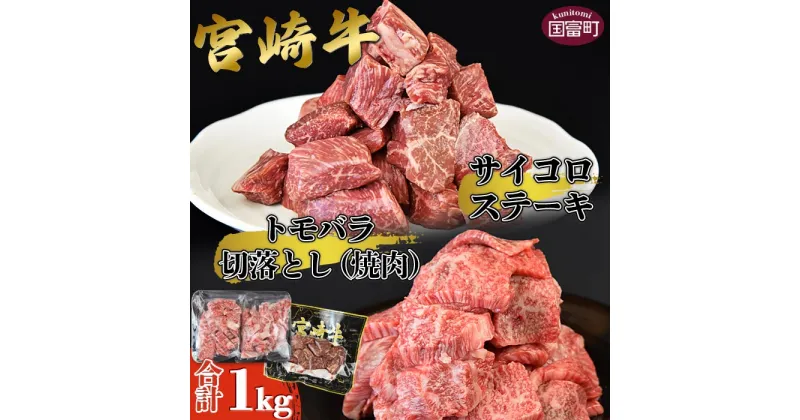 【ふるさと納税】＜宮崎牛サイコロステーキ ＆ 宮崎牛トモバラ切落とし（焼肉）合計1.0kg＞※入金確認後、翌月末迄に順次出荷します。牛肉 和牛 黒毛和牛 セット 真空 小分け カット済み BBQ 焼肉 煮込み 国産 特産品 送料無料 宮崎県 国富町 0382_ty【冷凍】