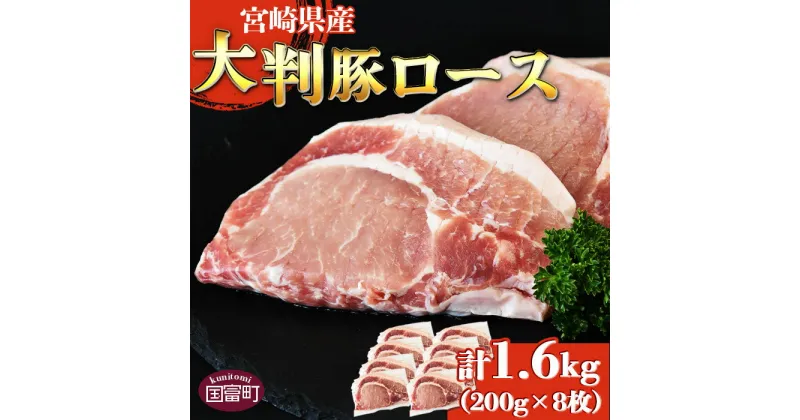 【ふるさと納税】★レビューキャンペーン対象返礼品★＜宮崎県産 豚大判ロース 合計1.6kg＞※入金確認後、翌月末迄に順次出荷　豚肉 豚ロース カツ丼 カツカレー ステーキ トンテキ とんかつ 厚切り 真空パック 筋切り済 個包装 おかず 国産 送料無料 宮崎県 国富町【冷凍】