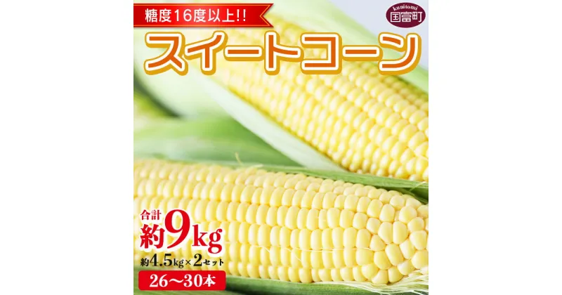 【ふるさと納税】予約受付！ 期間限定！ とうもろこし ＜宮崎県産 スイートコーン 約9kg（約4.5kg×2箱）＞※入金確認後、2025年5月下旬〜6月中旬迄に順次出荷します。 先行予約 穀物 野菜 甘い 季節限定 JAみやざき宮崎中央地区本部管内産 JA宮崎県 国富町【冷蔵】