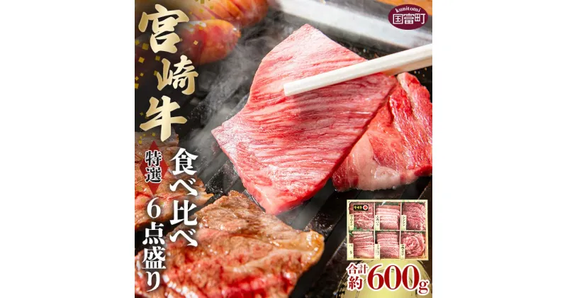 【ふるさと納税】＜宮崎牛特選食べ比べ6点盛り 合計約600g (約100g×6種)＞※入金確認後、2か月以内に順次出荷します。 牛肉 和牛 黒毛和牛 お肉 赤身 希少部位 ロース カルビ 霜降り 株式会社SHINGAKI 国富店 宮崎県 国富町 0504_sh【冷凍】