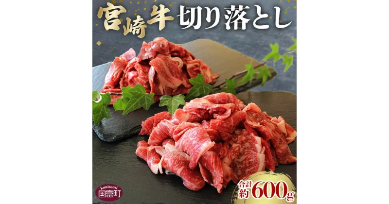 【ふるさと納税】＜宮崎牛切り落し 合計約600g (約300g×2パック)＞※入金確認後、2か月以内に順次出荷します。 牛肉 和牛 黒毛和牛 お肉 株式会社SHINGAKI 国富店 宮崎県 国富町 0505_sh【冷凍】