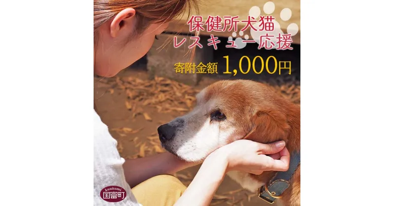 【ふるさと納税】＜保健所犬猫レスキュー【返礼品なしのご寄附】＞ 返礼品なし 保護 動物愛護 いぬ ねこ イヌ ネコ どうぶつ 応援 支援 寄付 使い道 お買い物マラソン スーパーセール 千円 1,000円 1000円 ポッキリ 宮崎県 国富町 いのちのはうす保護家