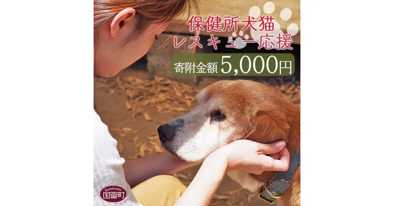 【ふるさと納税】＜保健所犬猫レスキュー【返礼品なしのご寄附】＞寄附金額5,000円※お礼状をお送りいたします。 返礼品なし 保護 動物愛護 いぬ ねこ イヌ ネコ どうぶつ 応援 支援 寄付 使い道 宮崎県 国富町 いのちのはうす保護家 a0621_in