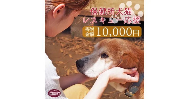 【ふるさと納税】＜保健所犬猫レスキュー【返礼品なしのご寄附】＞寄附金額10,000円※お礼状をお送りいたします。 返礼品なし 保護 動物愛護 いぬ ねこ イヌ ネコ どうぶつ 応援 支援 寄付 使い道 宮崎県 国富町 いのちのはうす保護家 a0622_in