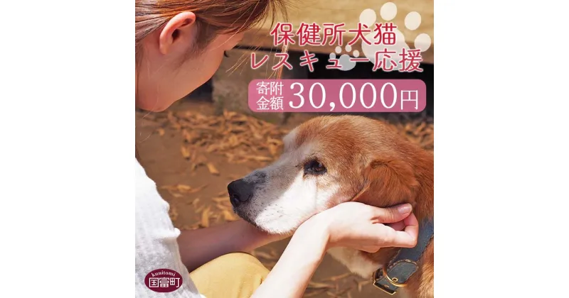 【ふるさと納税】＜保健所犬猫レスキュー【返礼品なしのご寄附】＞寄附金額30,000円※お礼状をお送りいたします。 返礼品なし 保護 動物愛護 いぬ ねこ イヌ ネコ 応援 宮崎県 国富町 いのちのはうす保護家 0623_in