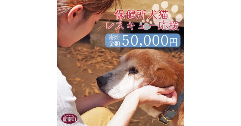 【ふるさと納税】＜保健所犬猫レスキュー【返礼品なしのご寄附】＞寄附金額50,000円※お礼状をお送りいたします。 返礼品なし 保護 動物愛護 いぬ ねこ イヌ ネコ 応援 宮崎県 国富町 いのちのはうす保護家 0624_in