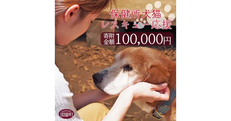 【ふるさと納税】＜保健所犬猫レスキュー【返礼品なしのご寄附】＞寄附金額100,000円※お礼状をお送りいたします。 返礼品なし 保護 動物愛護 いぬ ねこ イヌ ネコ 応援 宮崎県 国富町 いのちのはうす保護家 0625_in