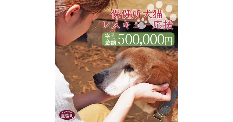 【ふるさと納税】＜保健所犬猫レスキュー【返礼品なしのご寄附】＞寄附金額500,000円※お礼状をお送りいたします。 返礼品なし 保護 動物愛護 いぬ ねこ イヌ ネコ 応援 宮崎県 国富町 いのちのはうす保護家 0626_in