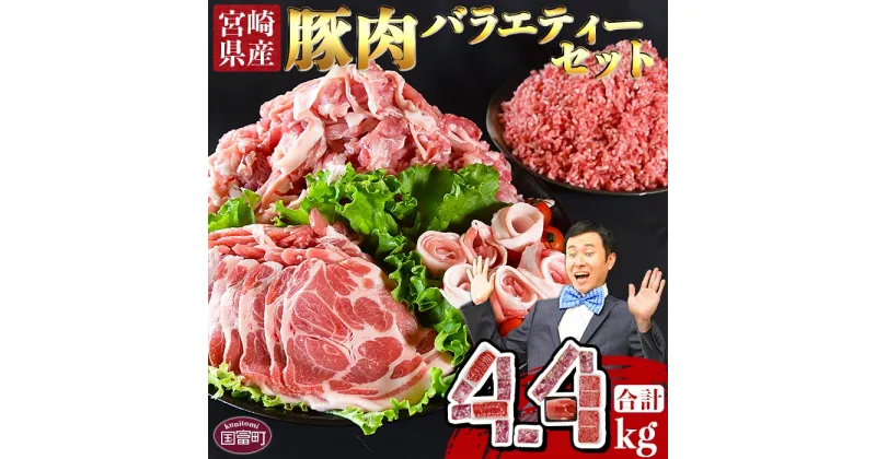 【ふるさと納税】＜宮崎県産豚肉 バラエティーセット4.4kg＞※入金確認後、翌月末迄に順次出荷 豚肉 豚ロース 肩ロース スライス 豚モモ 切り落とし 4種 赤身 真空パック 詰め合わせ 使い勝手 安心 食べて応援 国産 送料無料 太陽の大地 宮崎県 国富町 0629_ty【冷凍】