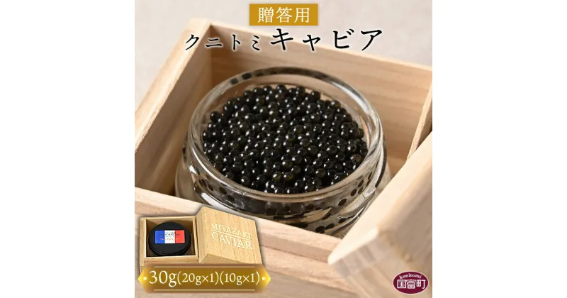 【ふるさと納税】＜【贈答用】クニトミキャビア30g（20g×1+10g×1）＞※入金確認後、翌月末迄に順次出荷します フレッシュキャビア フレンチ チョウザメ 低塩分 記念 祝 国産 食品 おつまみ 珍味 ラポール・ド・クニトミ 宮崎キャビア(株) 宮崎県 国富町 0649_mc【冷凍】