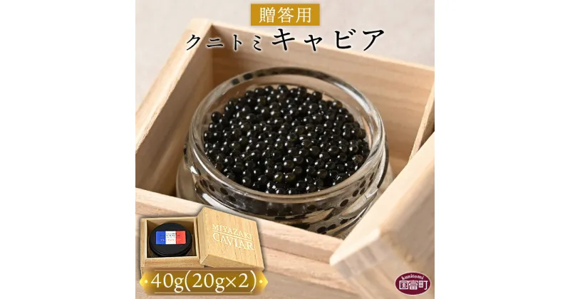 【ふるさと納税】＜【贈答用】クニトミキャビア40g（20g×2）＞※入金確認後、翌月末迄に順次出荷します フレッシュキャビア フレンチ チョウザメ 低塩分 記念 祝 国産 グルメ 食品 おつまみ 珍味 ラポール・ド・クニトミ 宮崎キャビア(株) 宮崎県 国富町 0650_mc【冷凍】