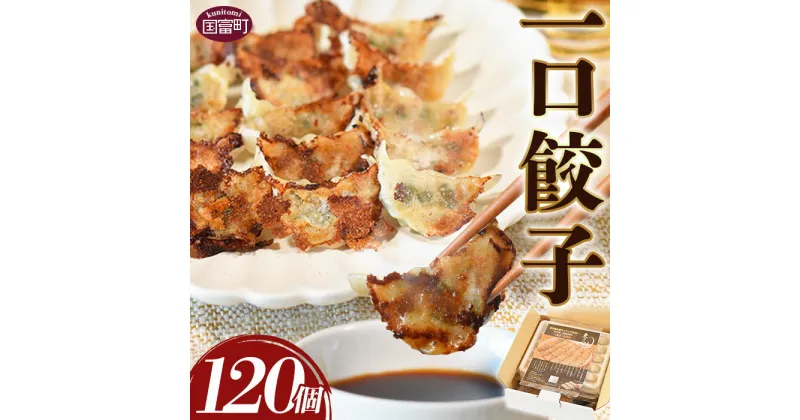 【ふるさと納税】＜一口餃子 120個入り＞ ぎょうざ ギョウザ ギョーザ 点心 中華 惣菜 豚肉 鶏肉 野菜 キャベツ おつまみ おかず お弁当 時短 ひとくちサイズ ジューシー 贈答用 ギフト 一口餃子の大明神 宮崎県 国富町【冷凍】