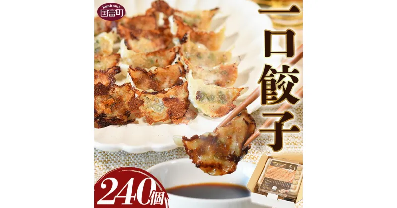 【ふるさと納税】＜一口餃子 240個入り＞※入金確認後、翌月末迄に順次出荷します。 ぎょうざ ギョウザ ギョーザ 点心 中華 惣菜 豚肉 鶏肉 野菜 キャベツ おつまみ おかず お弁当 時短 ひとくちサイズ ジューシー 贈答用 ギフト 一口餃子の大明神 宮崎県 国富町【冷凍】