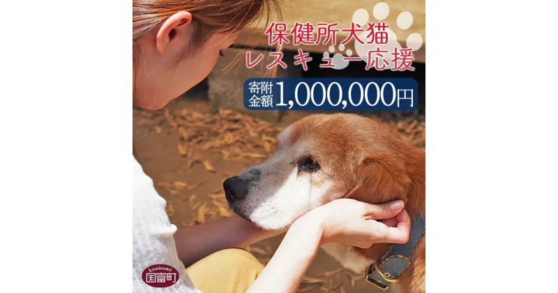 【ふるさと納税】＜保健所犬猫レスキュー【返礼品なしのご寄附】＞寄附金額1,000,000円※お礼状をお送りいたします。 返礼品なし 保護 動物愛護 いぬ ねこ イヌ ネコ どうぶつ 応援 支援 寄付 宮崎県 国富町 いのちのはうす保護家 a0729_in