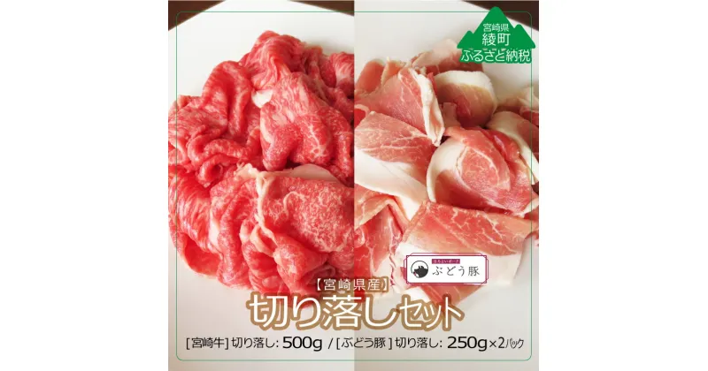 【ふるさと納税】綾ぶどう豚 宮崎牛 切り落し 食べ比べ セット 1kg 小分け 豚肉 希少 ブランド豚 牛肉 A4A5等級 黒毛和牛 内閣総理大臣賞 宮崎県 送料無料