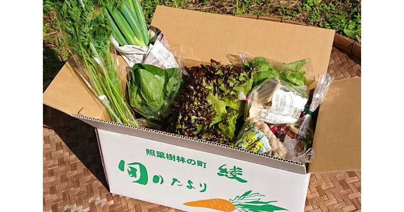 【ふるさと納税】こだわり 農家の野菜＆ジャム 詰め合わせ セット 旬 新鮮 おまかせ