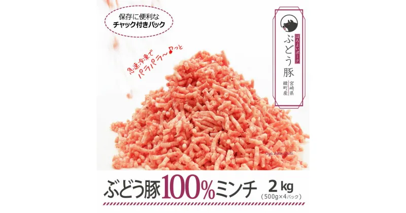 【ふるさと納税】希少 ブランド豚 綾ぶどう豚 100% パラパラ豚ミンチ 2kg(500g×4) 豚肉 国産 宮崎県産 銘柄豚 冷凍 急速冷凍 調理 小分け 送料無料