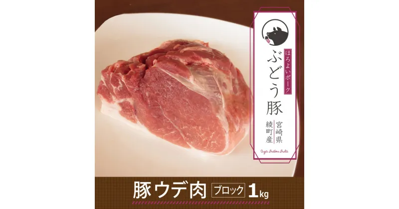 【ふるさと納税】希少 綾ぶどう豚ウデブロック1kg 豚肉 肩 国産 宮崎県産 銘柄豚 冷凍 送料無料 ブランド豚 赤身 カット 調理