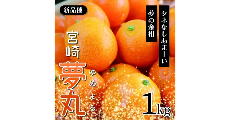 【ふるさと納税】きんかん 宮崎 夢丸 1kg 種なし 先行受付 希少 果物 フルーツ 金柑 ギフト 贈答 送料無料