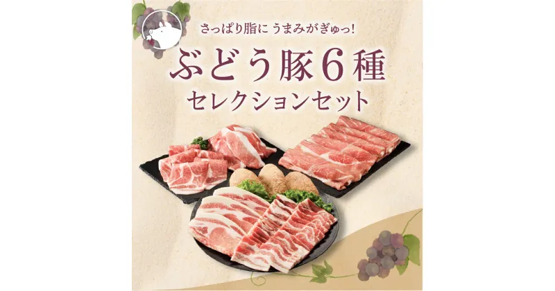 【ふるさと納税】国産 豚肉 ブランド 豚 綾ぶどう豚 食べつくし セレクション セット 1.7kg 小分け バラエティー 詰め合わせ とんかつ 生姜焼き 焼肉 しゃぶしゃぶ ハンバーグ 調理 日時 指定 可能