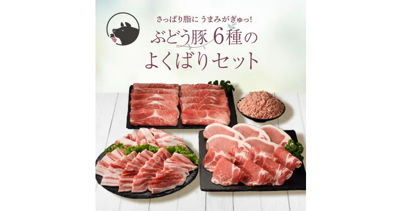 【ふるさと納税】国産 豚肉 ブランド 豚 綾ぶどう豚 詰め合わせ よくばり セット 2.7kg 小分け 調理 バラエティー とんかつ 生姜焼き 焼肉 ミンチ 日時 指定 可能