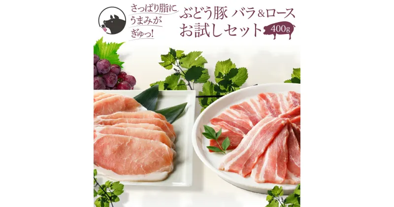 【ふるさと納税】国産 豚肉 ブランド 豚 綾ぶどう豚 お試し セット バラ 焼肉 ロース しゃぶしゃぶ 豚肉 食べ比べ 日時 指定 可能