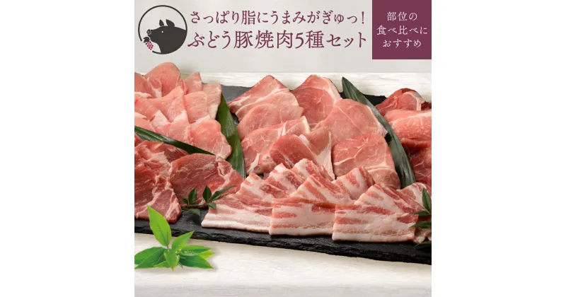 【ふるさと納税】国産 豚肉 ブランド豚 綾ぶどう豚 焼肉 食べ比べ セット バーベキュー 盛り合わせ ロース 肩ロース バラ 小間切れ モモ 日時 指定 可能