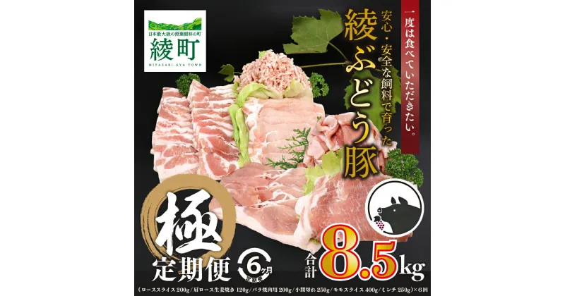 【ふるさと納税】国産 豚肉 ブランド 豚 綾ぶどう豚 よりどり 詰め合わせ 6か月 定期便 セット 指定月 中旬 お届け ロース スライス 生姜焼き バラ 焼肉 小間切れ モモ スライス ミンチ しゃぶしゃぶ(22-37)