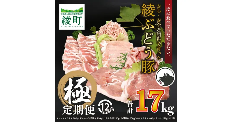 【ふるさと納税】国産 豚肉 ブランド 豚 綾ぶどう豚 よりどり 詰め合わせ 12か月 定期便 セット 毎月 中旬 お届け ロース スライス 生姜焼き バラ 焼肉 小間切れ モモ スライス ミンチ しゃぶしゃぶ(22-38)