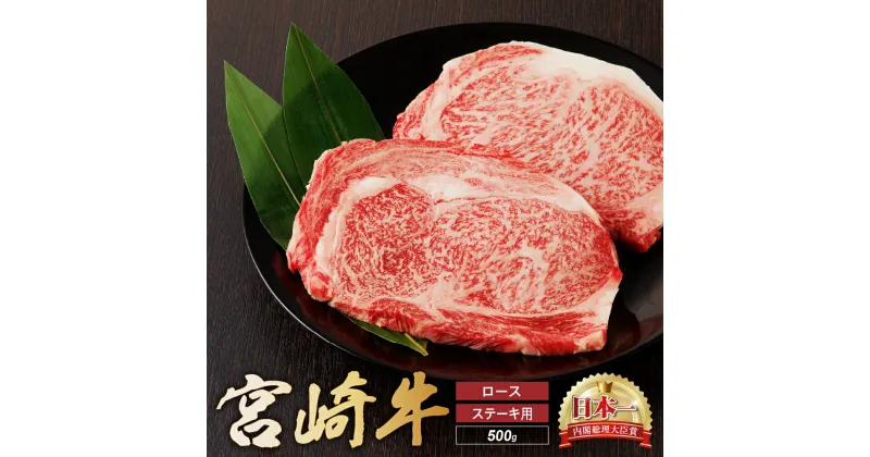 【ふるさと納税】宮崎牛 ロース ステーキ 2枚 500g 牛肉 肉 国産 小分け ブランド牛 ギフト 贈り物 九州 宮崎 霜降り