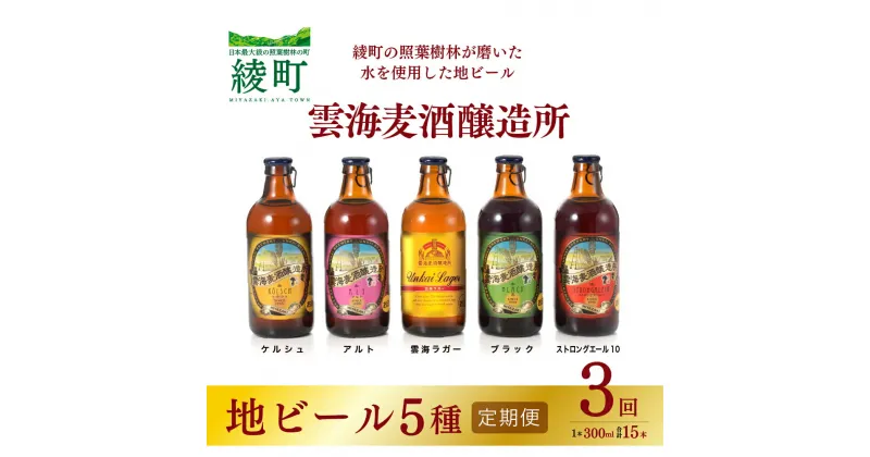 【ふるさと納税】雲海麦酒醸造所 地ビール 5種 飲み比べ セット 【3回 定期便】