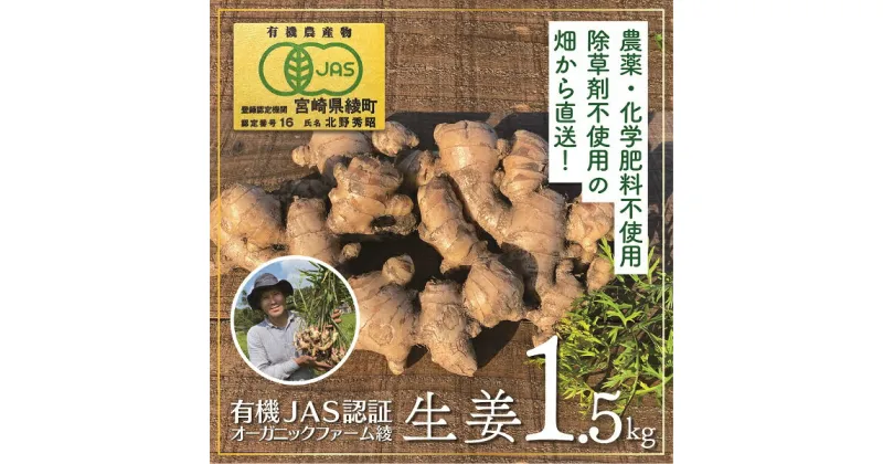 【ふるさと納税】【有機JAS】生姜1.5kg◆ジンジャーエールに最適！ 無農薬 無化学肥料 生姜焼き ジンジャー シロップ 佃煮